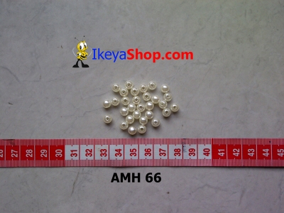 AMH 66  large2